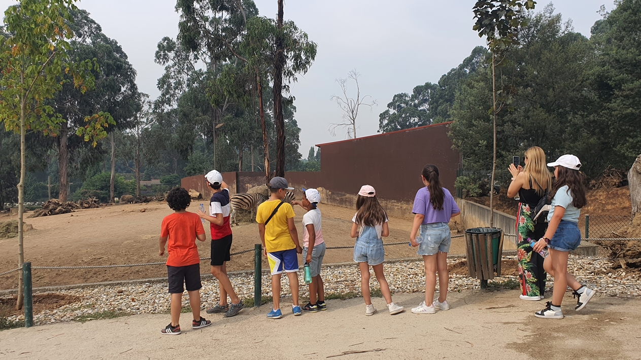 Férias Escolares